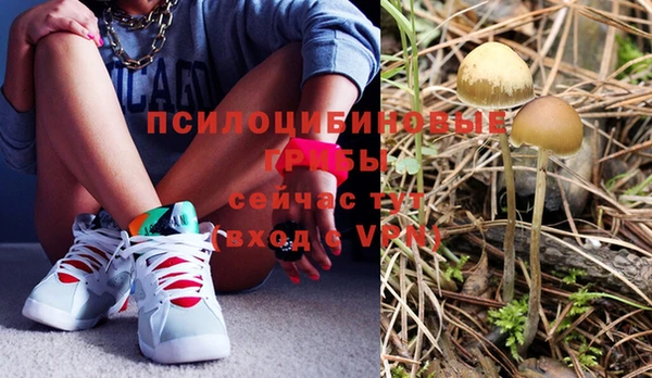 ешки Абаза