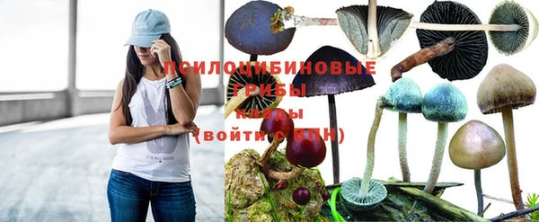 гашиш Абинск
