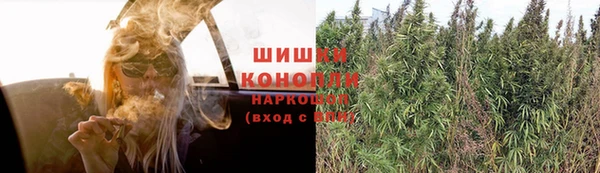 ешки Абаза