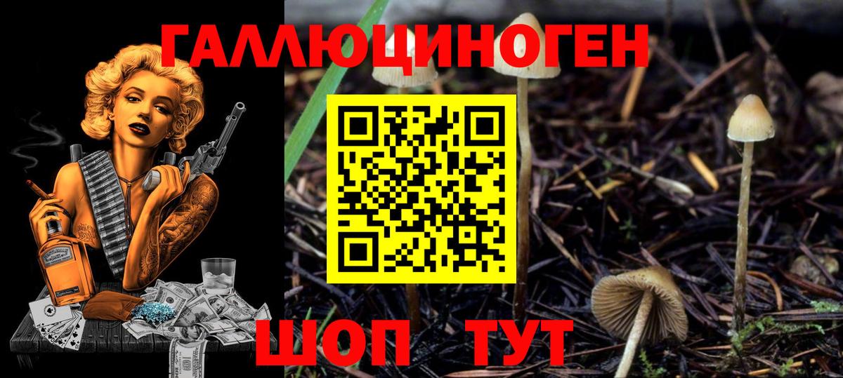 Галлюциногенные грибы Cubensis Домодедово