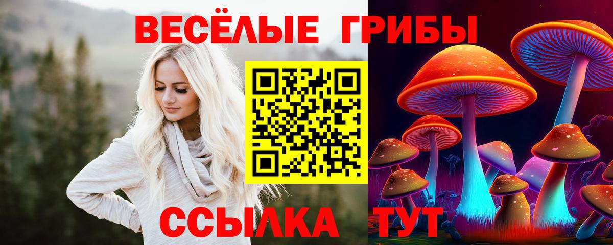 Домодедово  Галлюциногенные грибы мухоморы  Вход с VPN 