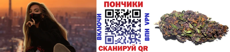 где продают   Домодедово  Бошки марихуана планчик 